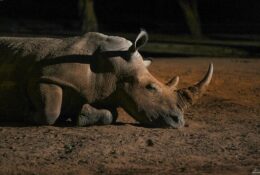 Namibia_April_2025 (75/79)